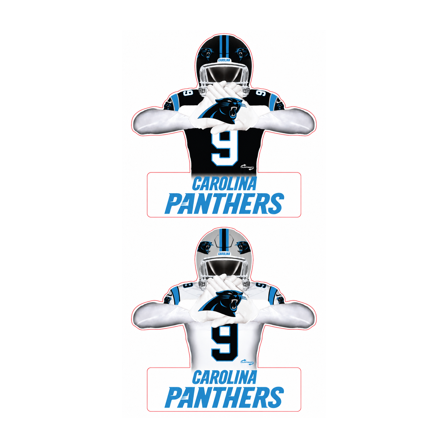 Reversible Panthers Player