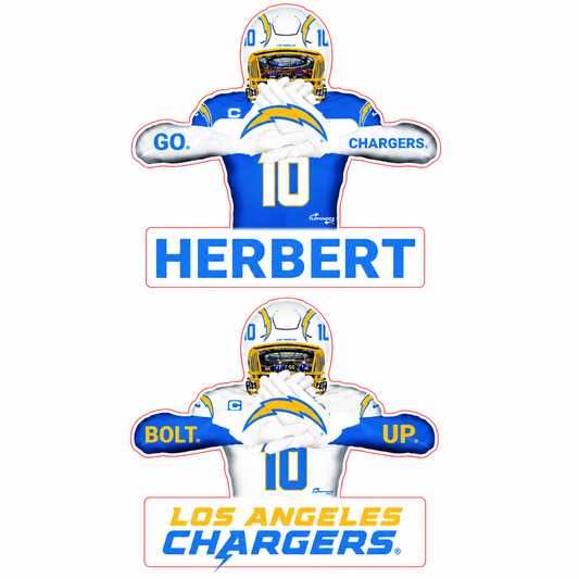 Reversible Chargers Player