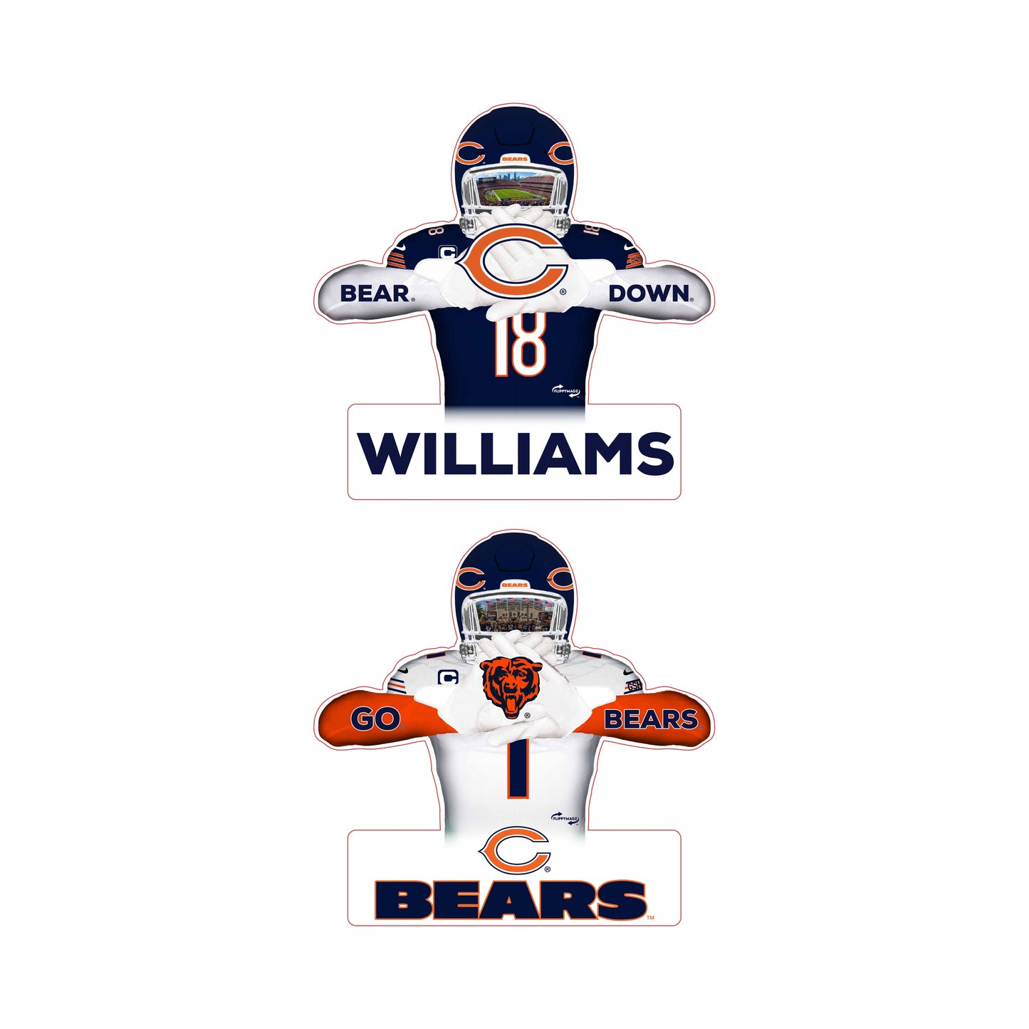 Reversible Bears Player