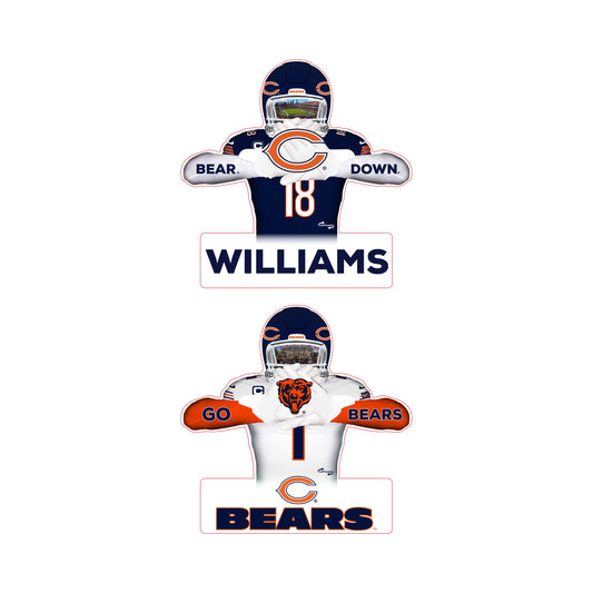 Reversible Bears Player