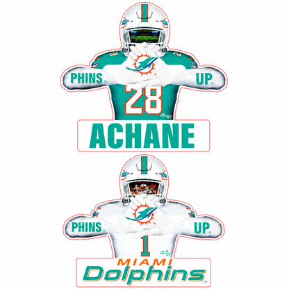 Reversible Dolphins Player