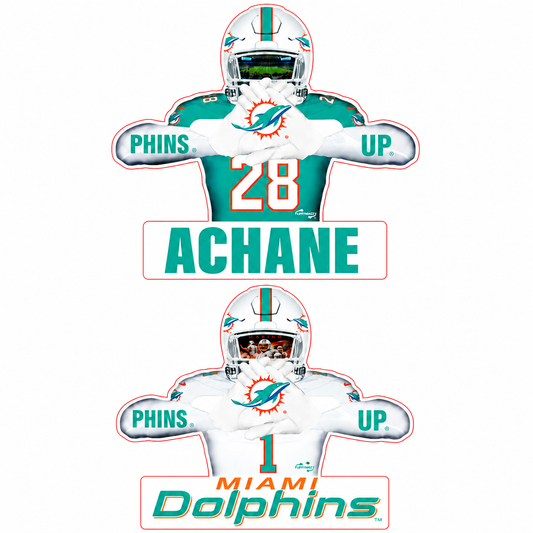Reversible Dolphins Player