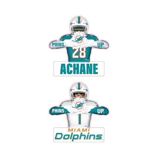 Reversible Dolphins Player